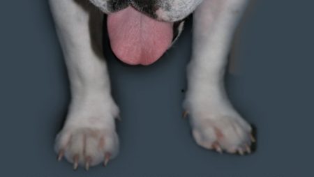 Soapbox: Voting is the Cornerstone of our Freedom